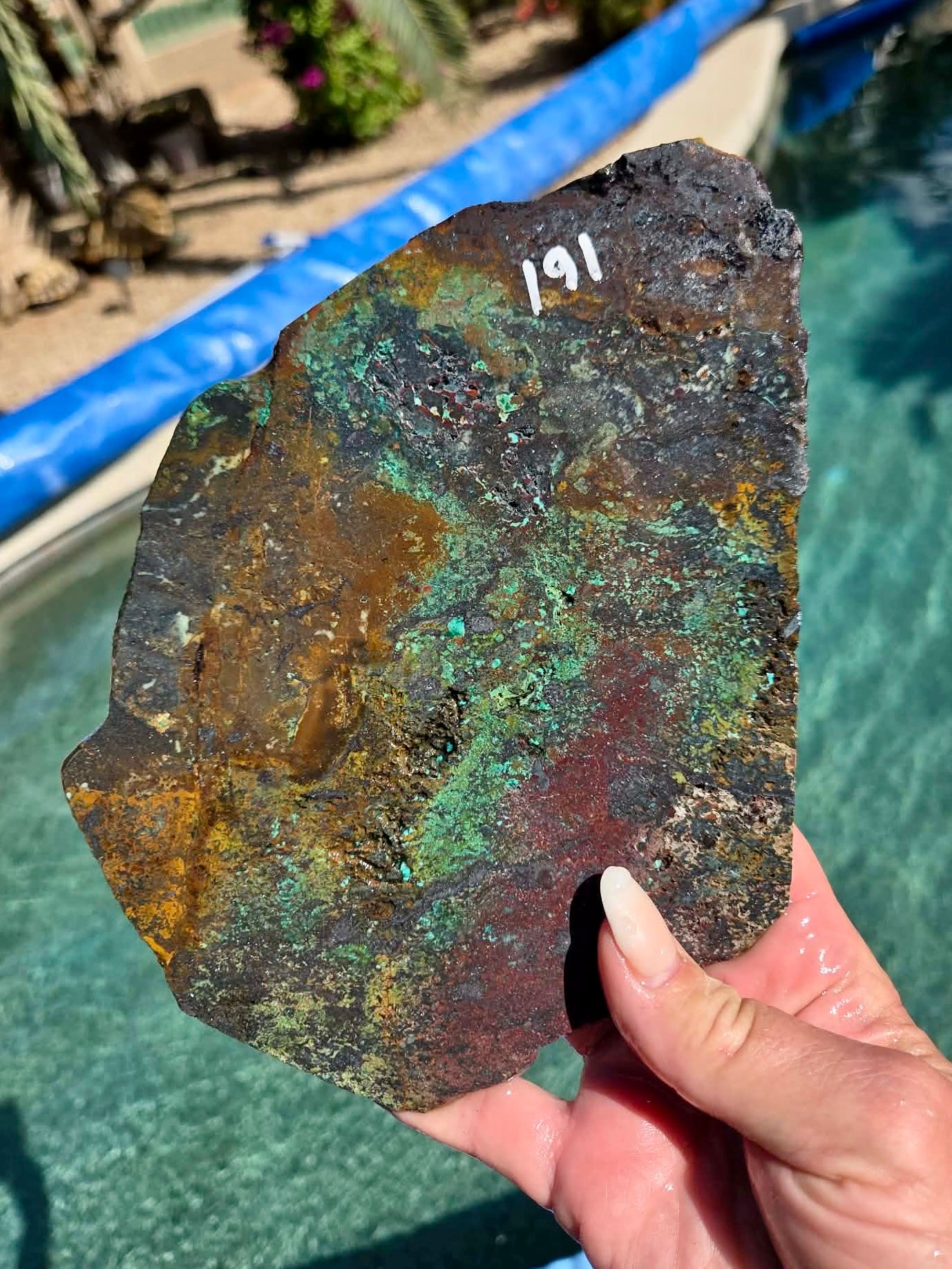 Plant Mine Chrysocolla slab 188-191