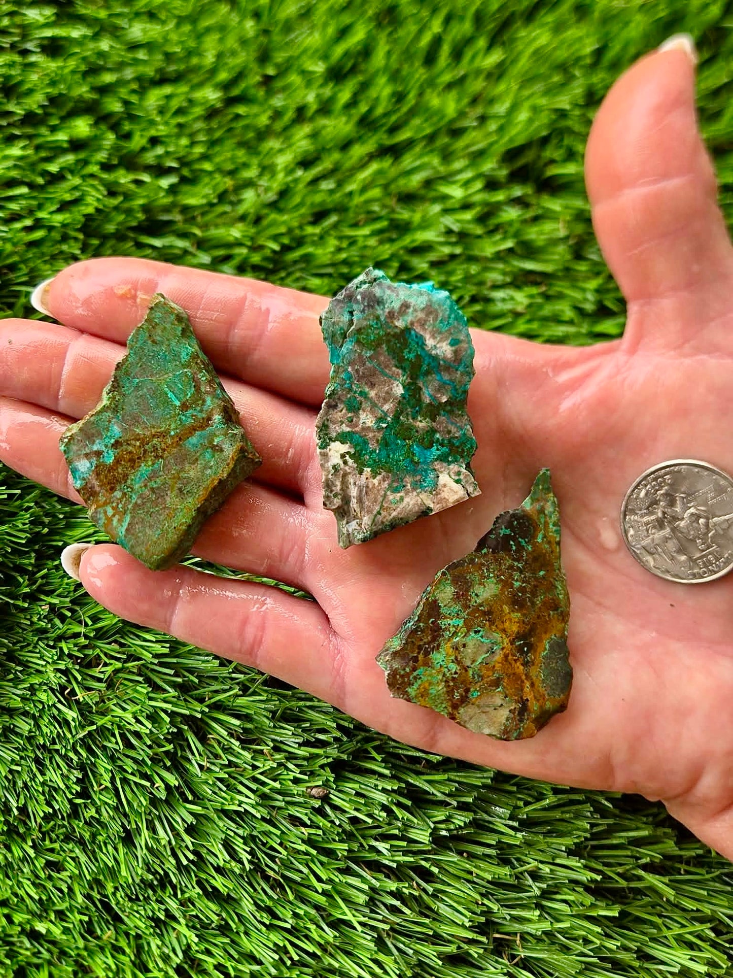 Globe Chrysocolla Slab Bundle -70