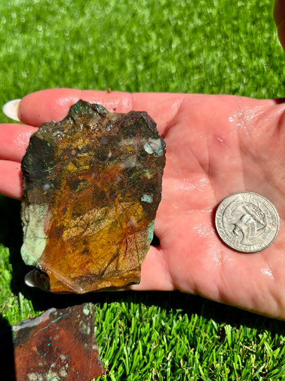 Globe Chrysocolla Slab Bundle -82