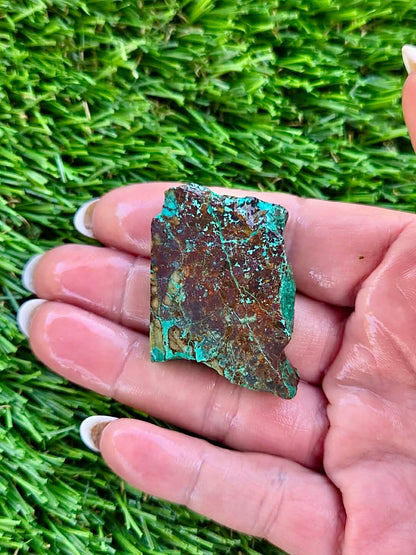 Globe Chrysocolla Slab Bundle -61