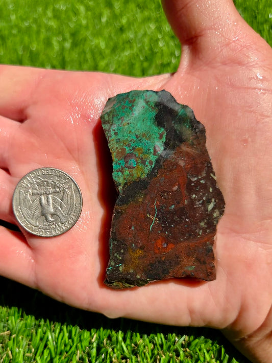 Globe Chrysocolla Slab Bundle -82