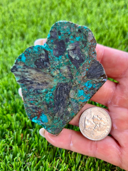 Globe Chrysocolla Slab Bundle -92