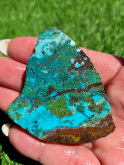 Globe Chrysocolla Slab Bundle -77