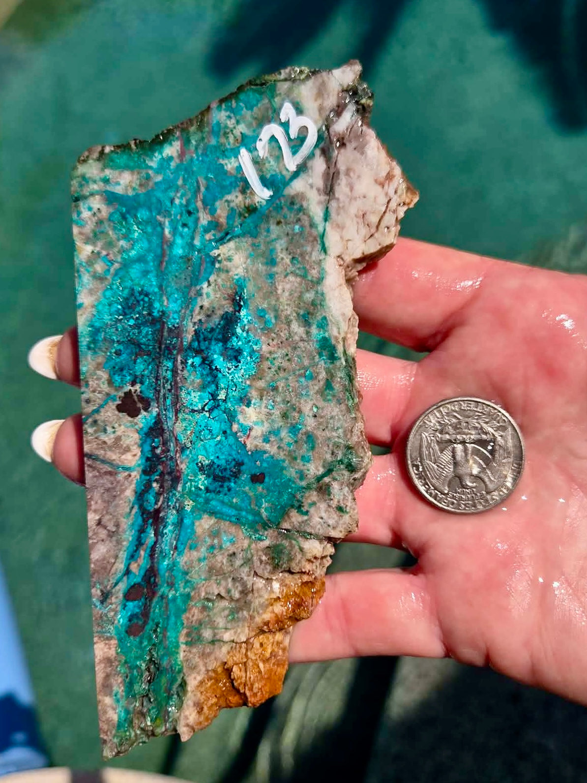 Planet Mine Chrysocolla 
Slab 171-175