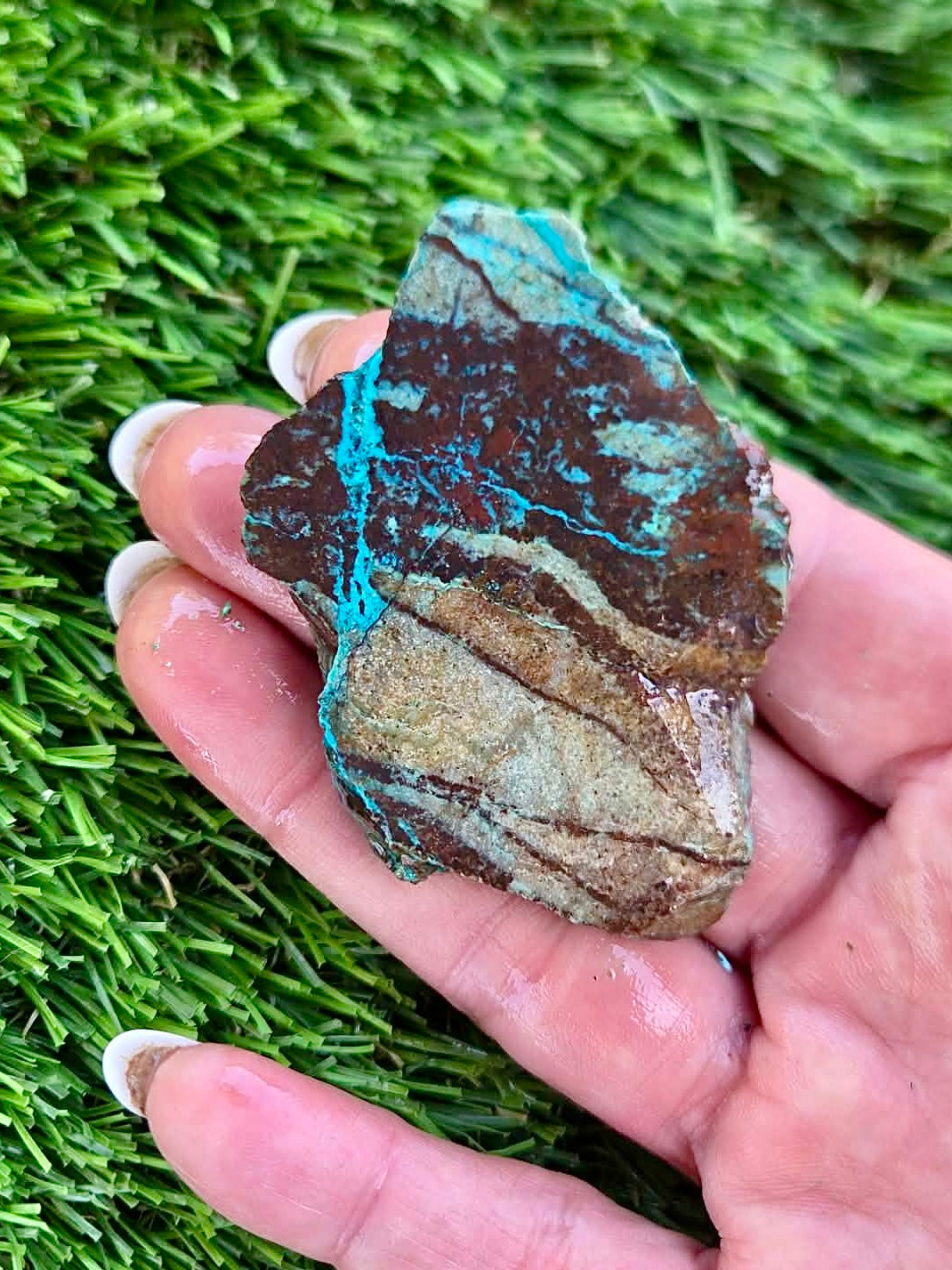 Globe Chrysocolla Slab Bundle -59