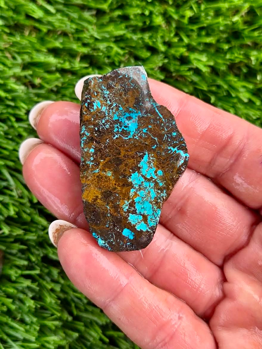 Globe Chrysocolla Slab Bundle -44
