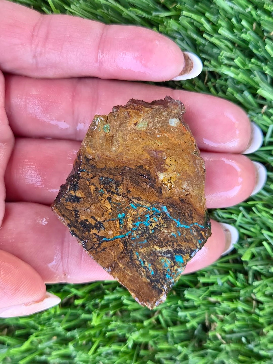 Globe Chrysocolla Slab Bundle -56