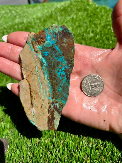 Globe Chrysocolla Slab Bundle -84