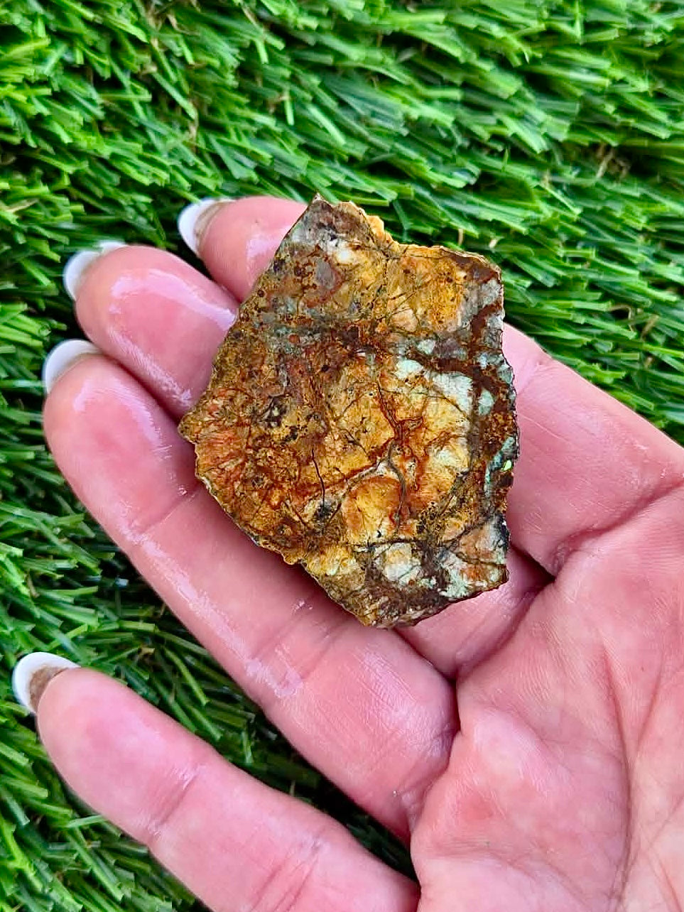 Globe Chrysocolla Slab Bundle -60