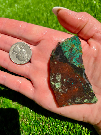 Globe Chrysocolla Slab Bundle -82