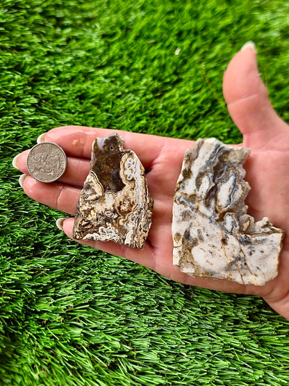 Arizona Agate Slab Bundle-67
