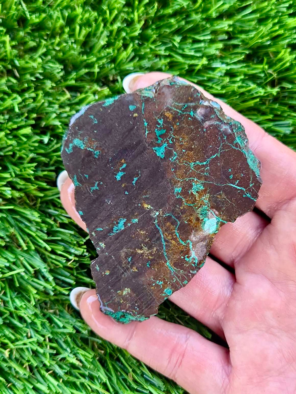 Globe Chrysocolla Slab Bundle -80
