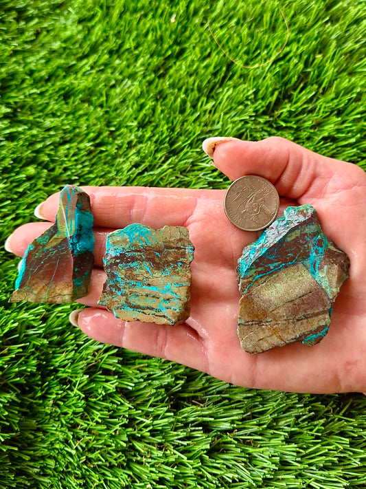 Globe Chrysocolla Slab Bundle -59