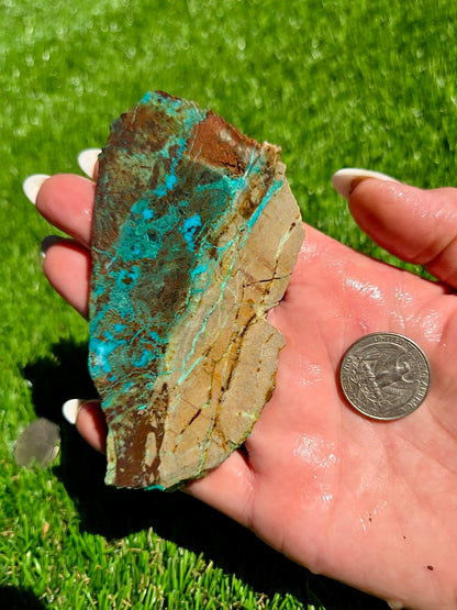 Globe Chrysocolla Slab Bundle -84
