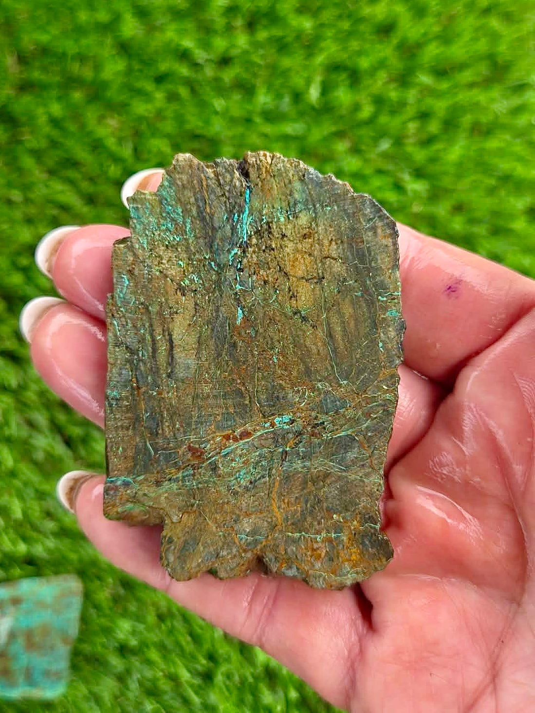 Globe Chrysocolla Slab Bundle -54