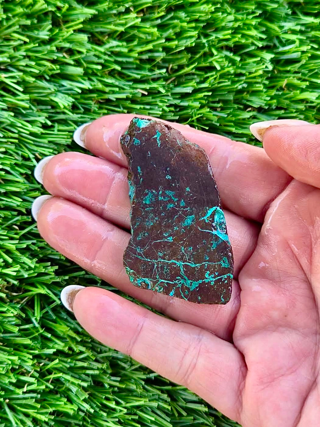Globe Chrysocolla Slab Bundle -79