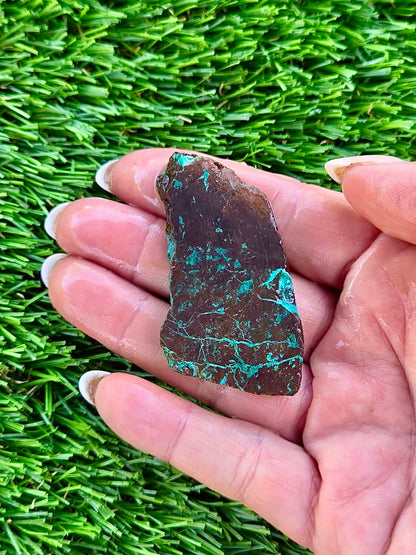 Globe Chrysocolla Slab Bundle -79