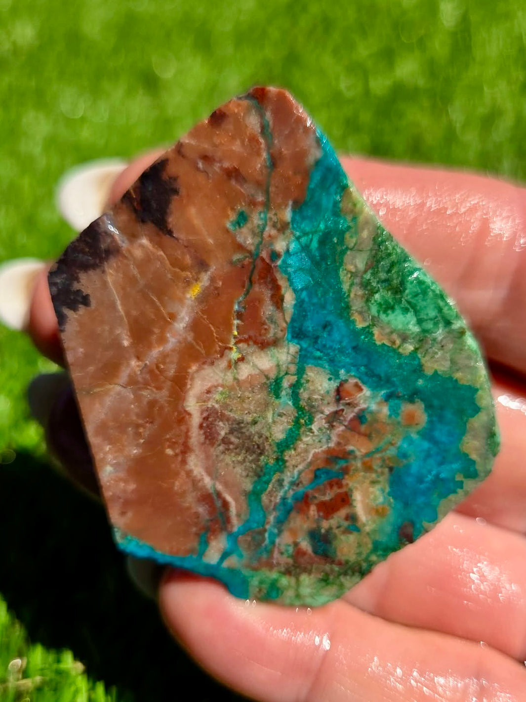 Globe Chrysocolla Slab Bundle -81