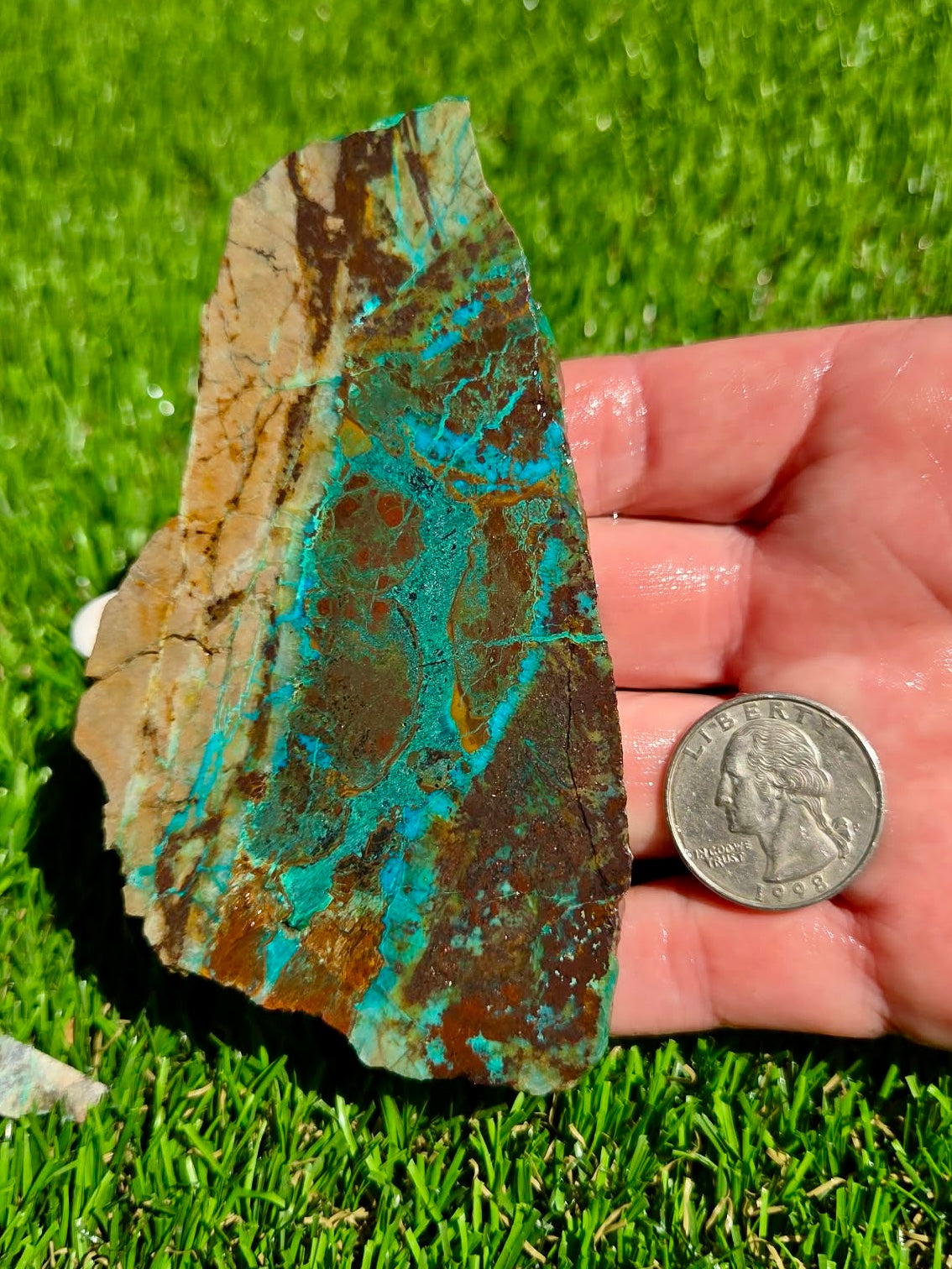 Globe Chrysocolla Slab Bundle -85