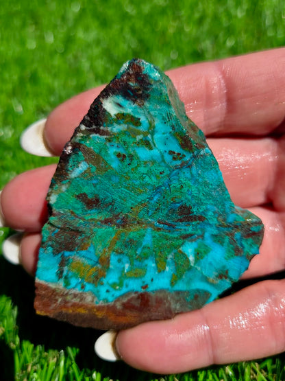 Globe Chrysocolla Slab Bundle -77