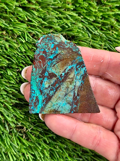 Globe Chrysocolla Slab Bundle -51