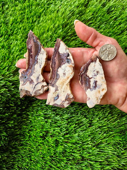 Bloody Basin Agate Slab Bundle-26