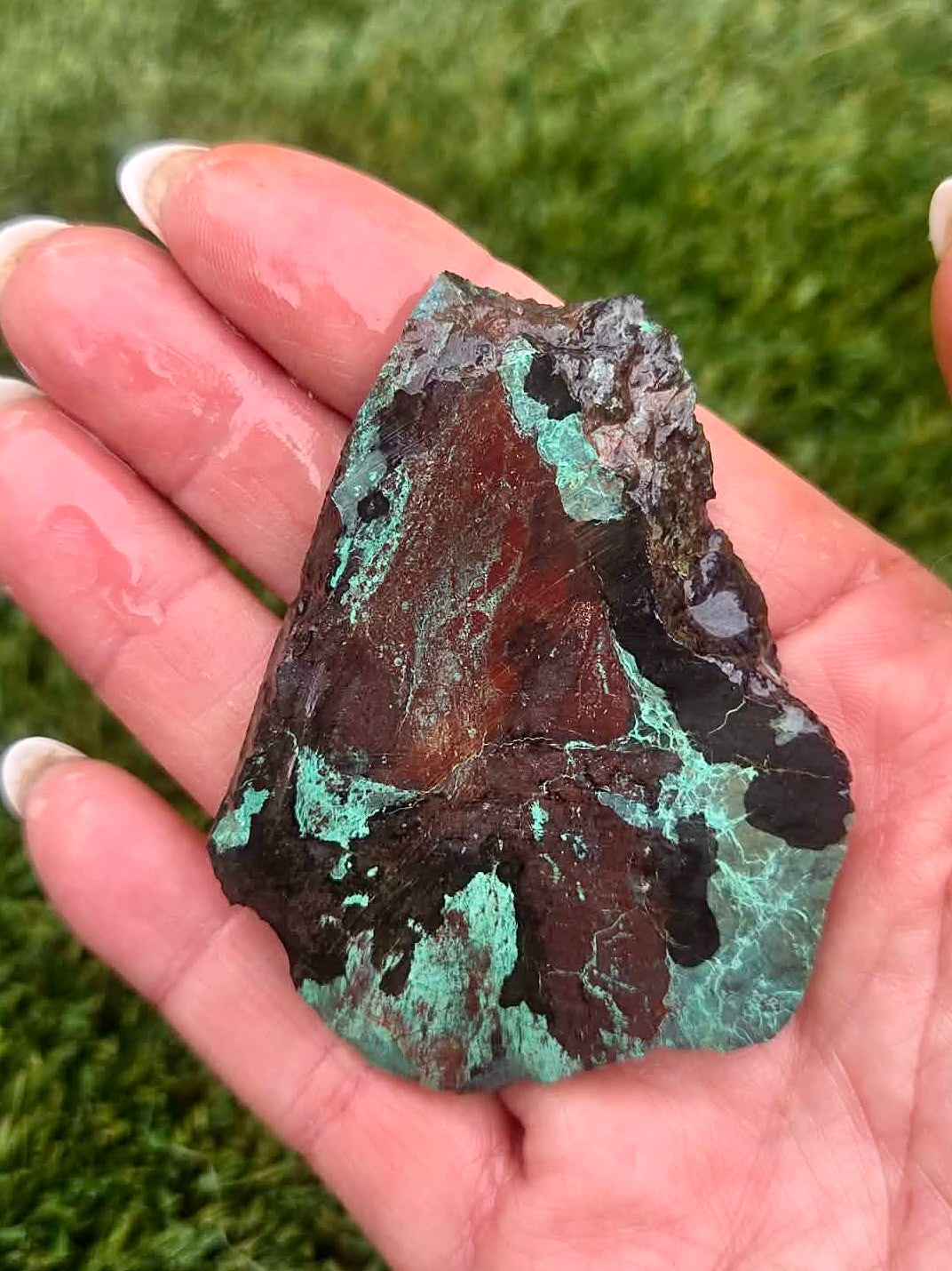 Globe Chrysocolla Slab Bundle -12