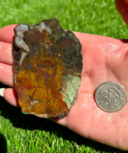 Globe Chrysocolla Slab Bundle -82