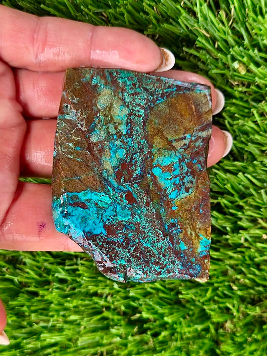 Globe Chrysocolla Slab Bundle -50