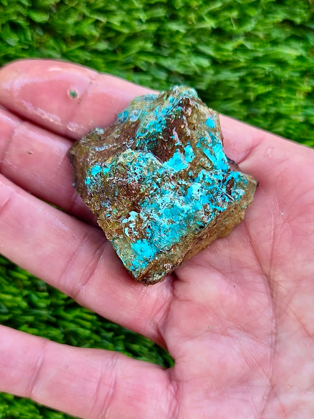 Globe Chrysocolla Slab Bundle -59
