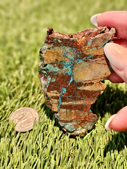 Globe Chrysocolla Slabs 67-72