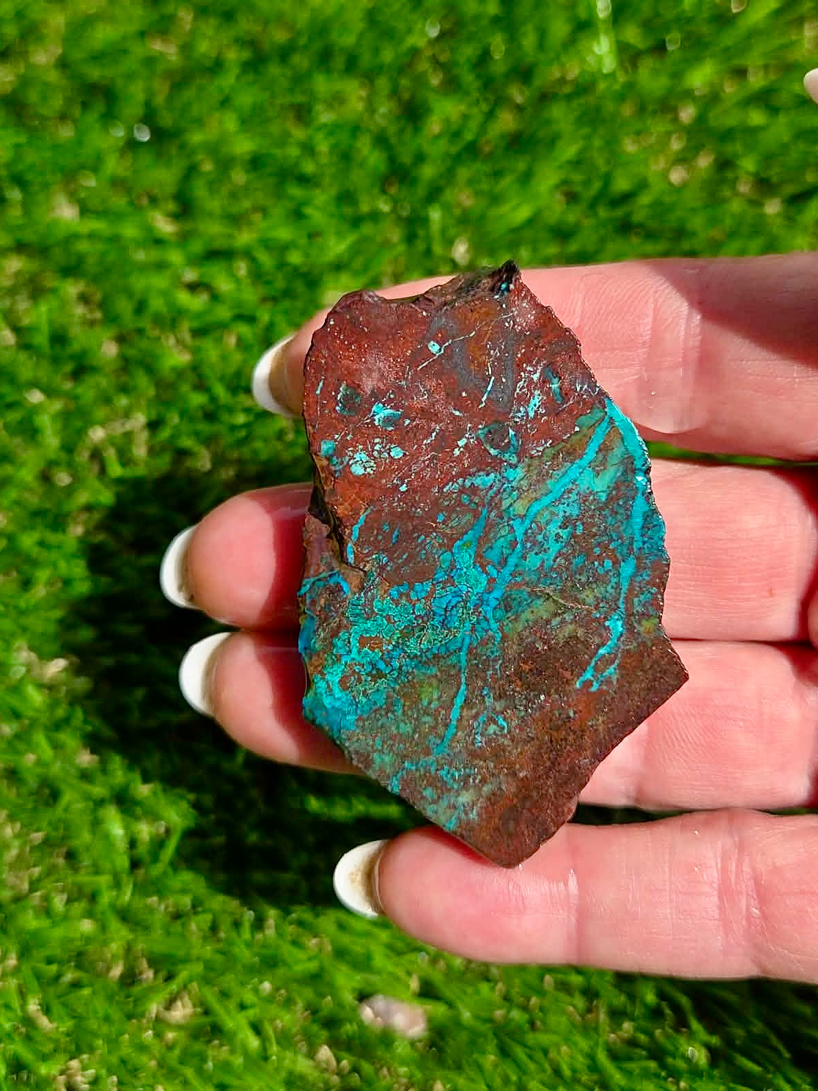 Globe Chrysocolla Slab Bundle -22