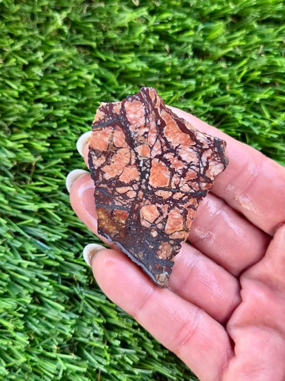 Arizona Mixed Slab Bundle-69