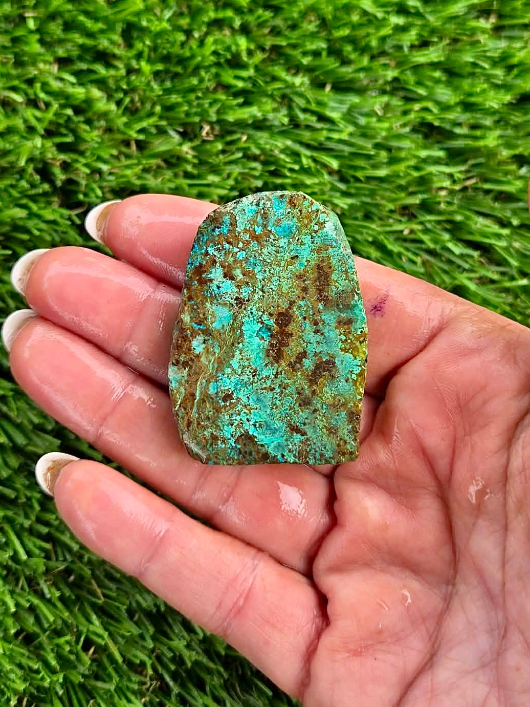 Globe Chrysocolla Slab Bundle -43