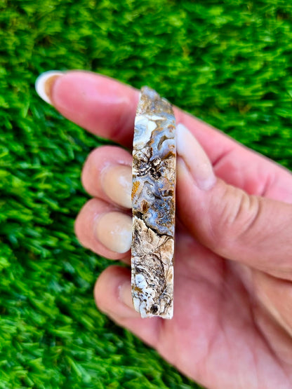 Arizona Agate Slab Bundle-68