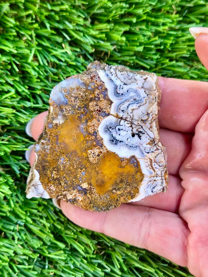 Arizona Agate Slab Bundle-68
