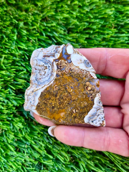 Arizona Agate Slab Bundle-68
