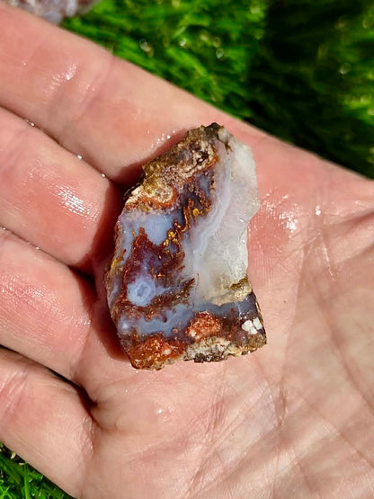 Bloody Basin Agate Slab Bundle-25
