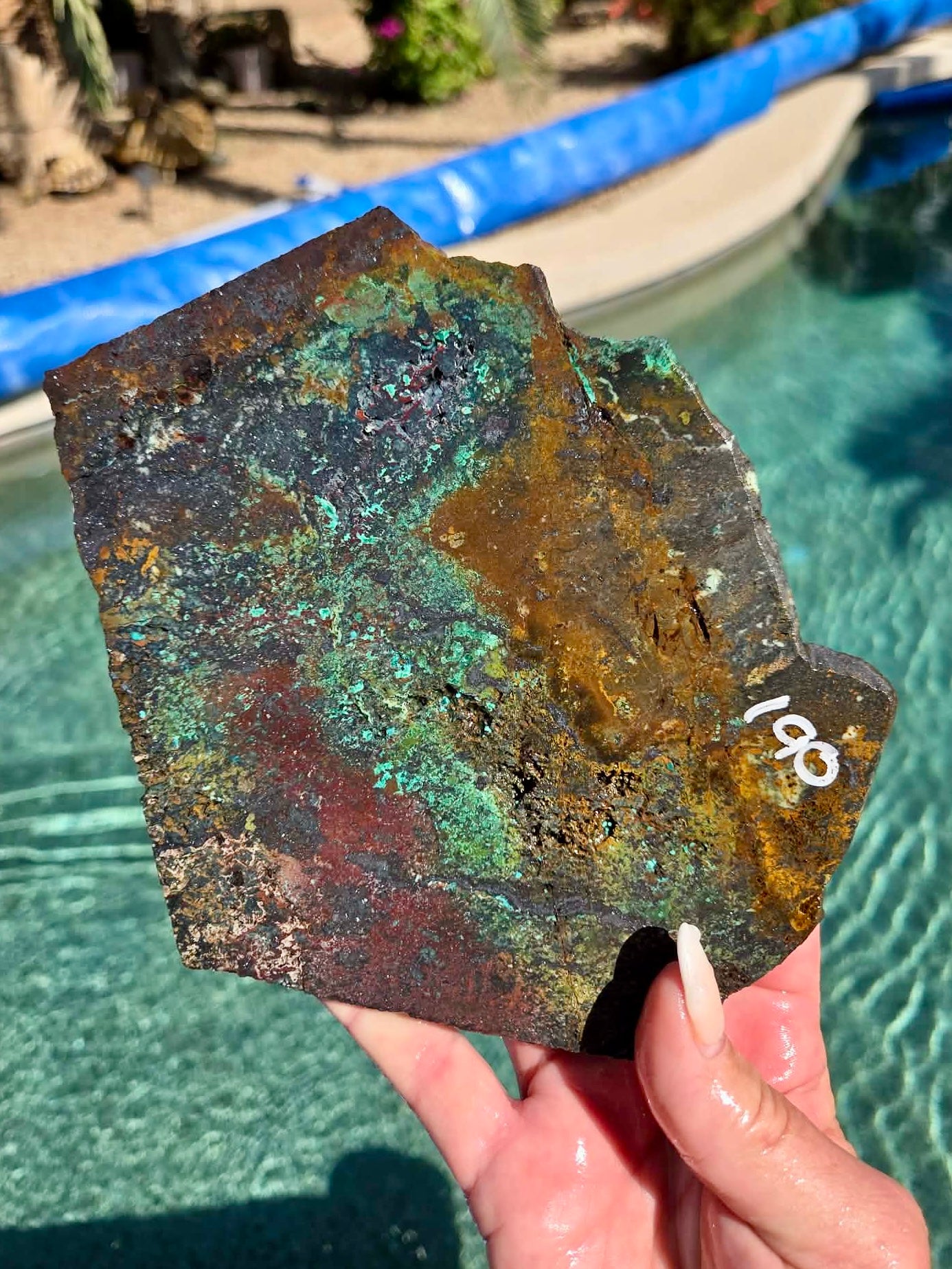 Plant Mine Chrysocolla slab 188-191