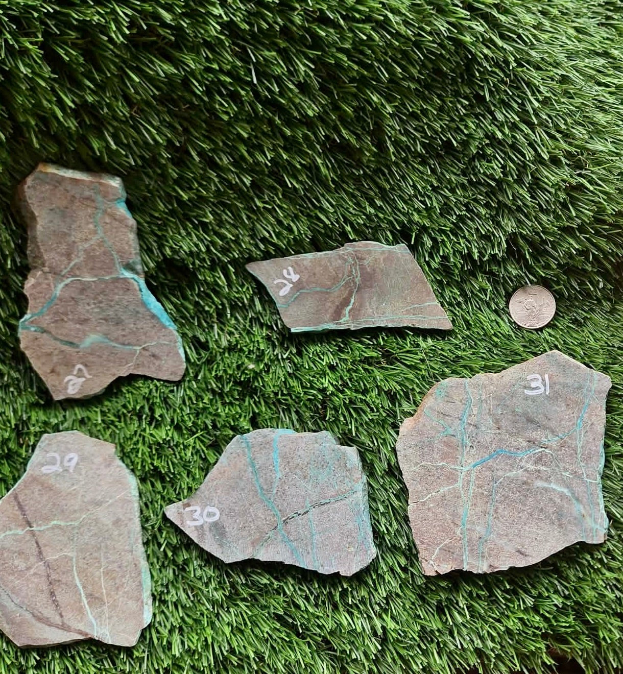 Globe Chrysocolla Slabs 27-31