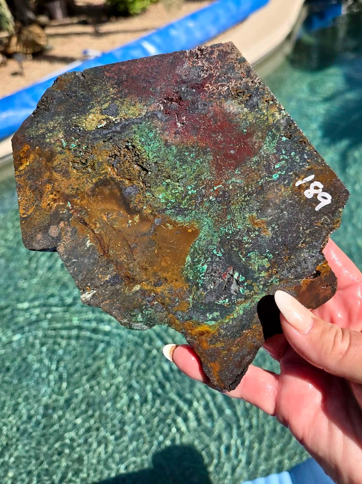 Plant Mine Chrysocolla slab 188-191