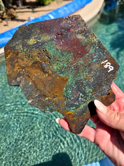 Plant Mine Chrysocolla slab 188-191