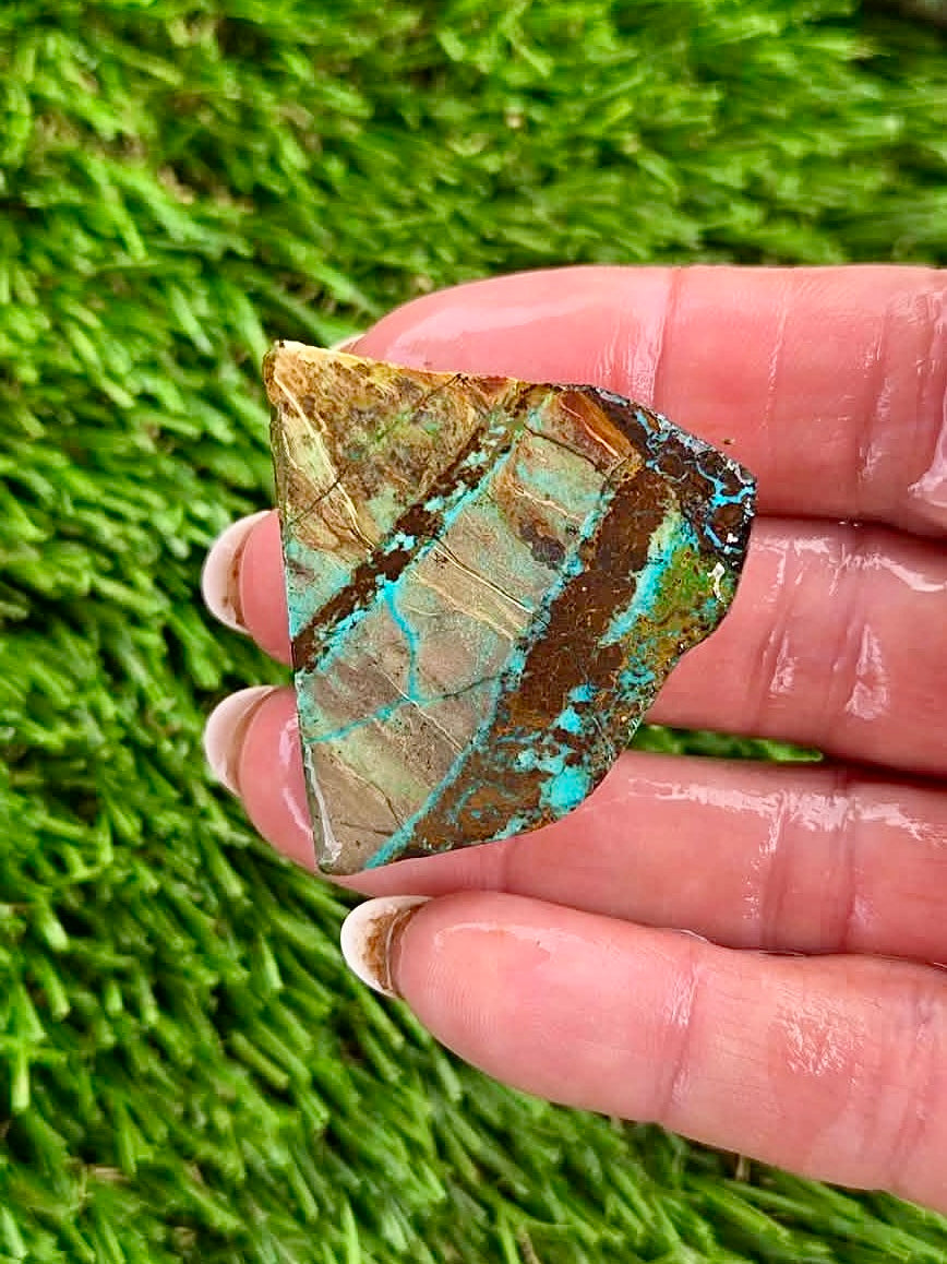 Globe Chrysocolla Slab Bundle -49