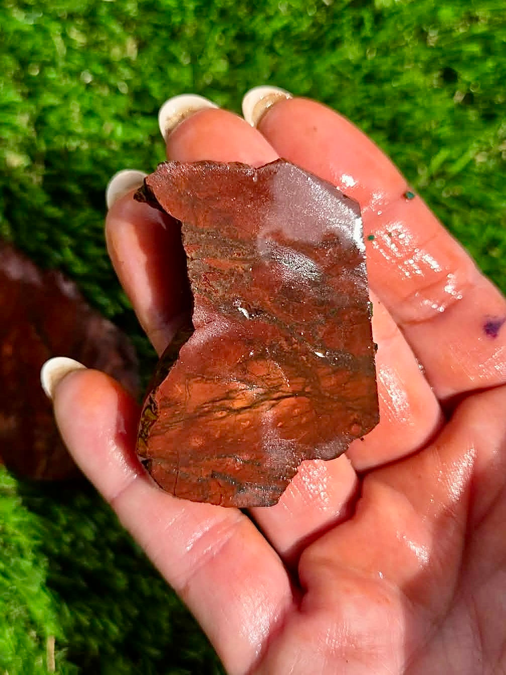 Arizona Flame Jasper Slab Bundle-30