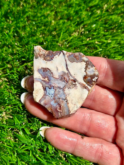 Bloody Basin Agate Slab Bundle-20