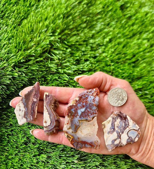 Bloody Basin Agate Slab Bundle-20