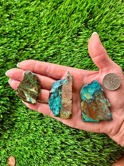 Globe Chrysocolla Slab Bundle -53