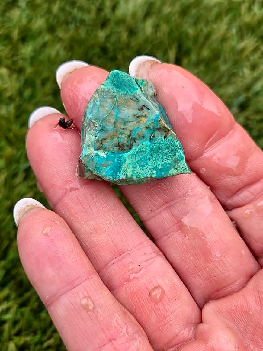 Globe Chrysocolla Slab Bundle -17