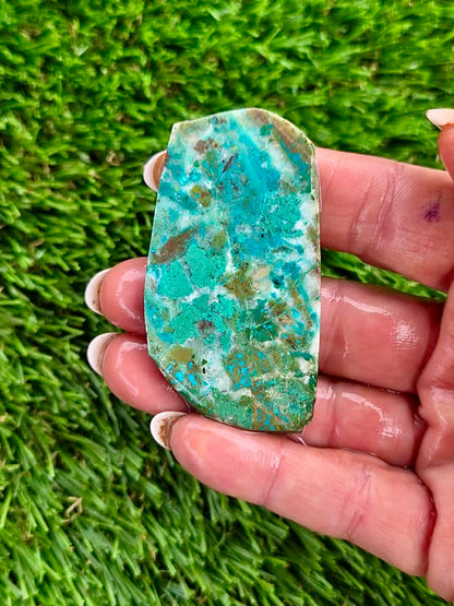 Globe Chrysocolla Slab Bundle -42
