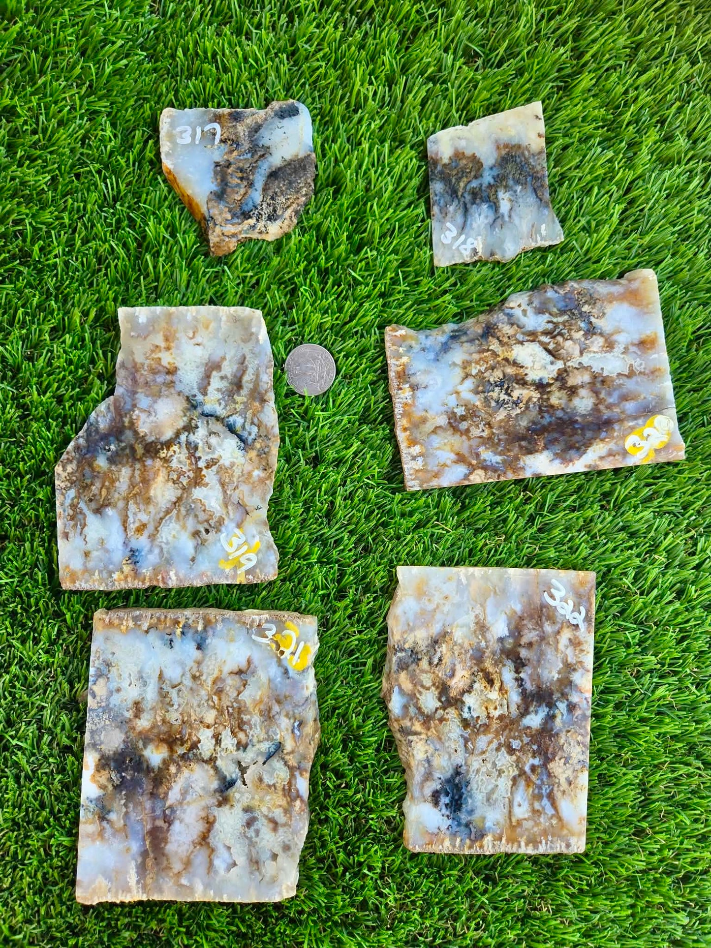 Graveyard Point Plume Agate Slabs G317-322